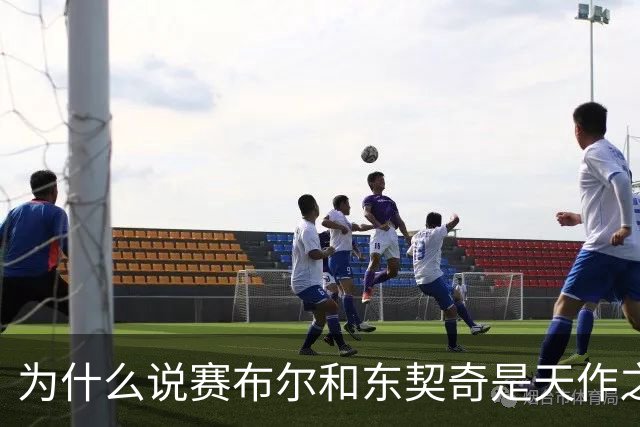 为什么说赛布尔和东契奇是天作之合？（签约评级：A）